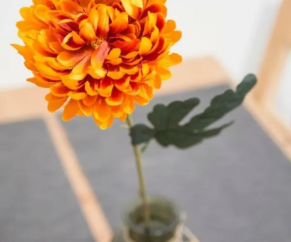 Comfort デュッセルドルフ